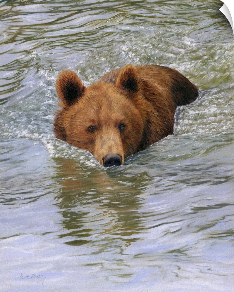 Brown Bear, originally oil on canvas.