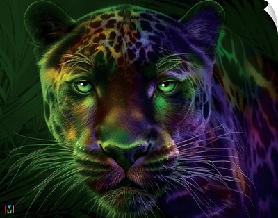 Black Jaguar Face