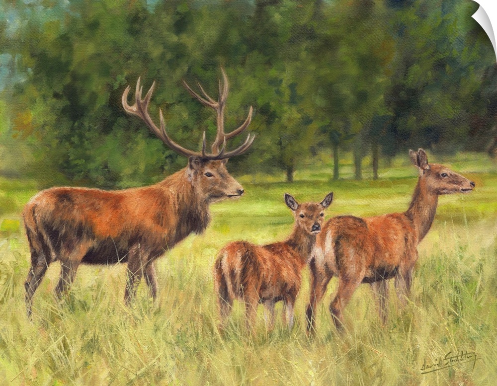 Red Deer Family, originally oil on canvas