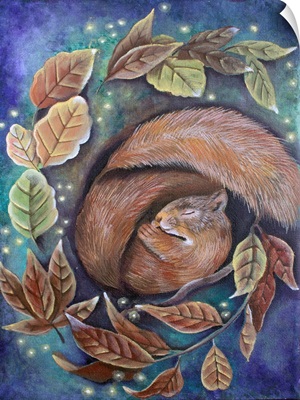 Dreaming Squirrel