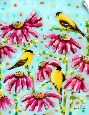 Yellow Finches