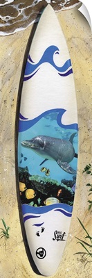 Dolphin Board