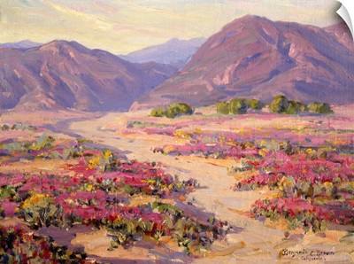 Spring Bloom in the Desert