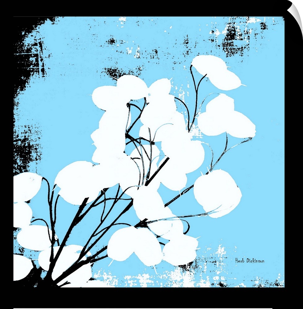 Square silhouetted painting of a money plant in black, white, and light blue.