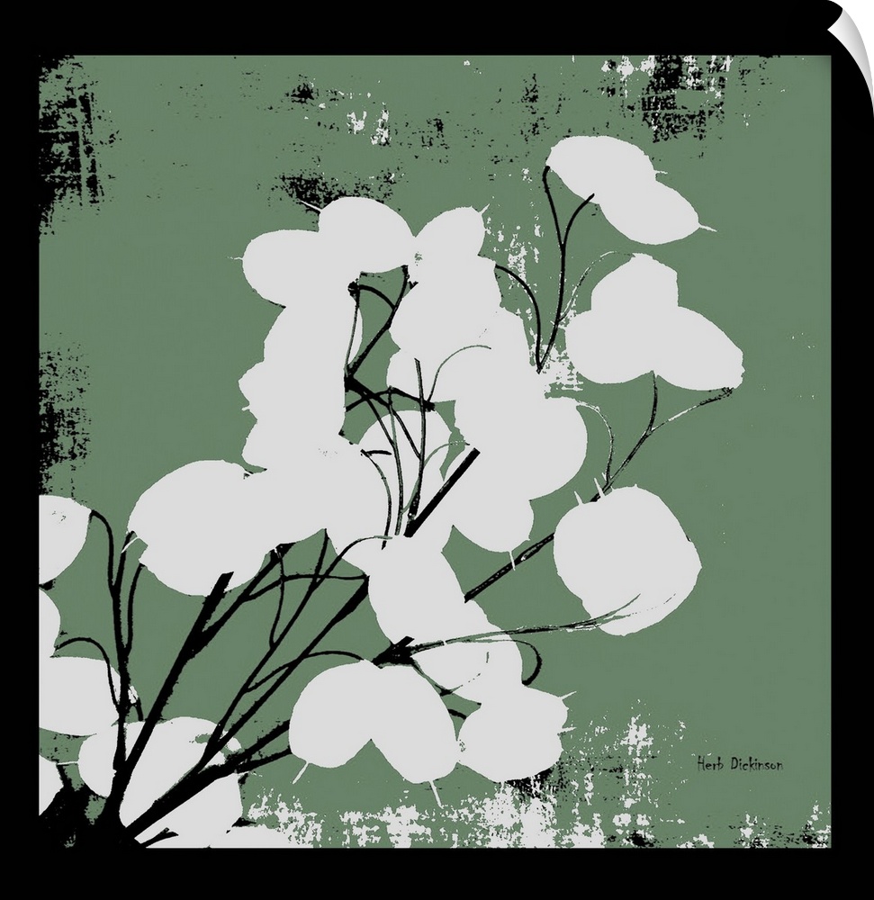 Square silhouetted painting of a money plant in dusty green, black, and white with a black boarder.