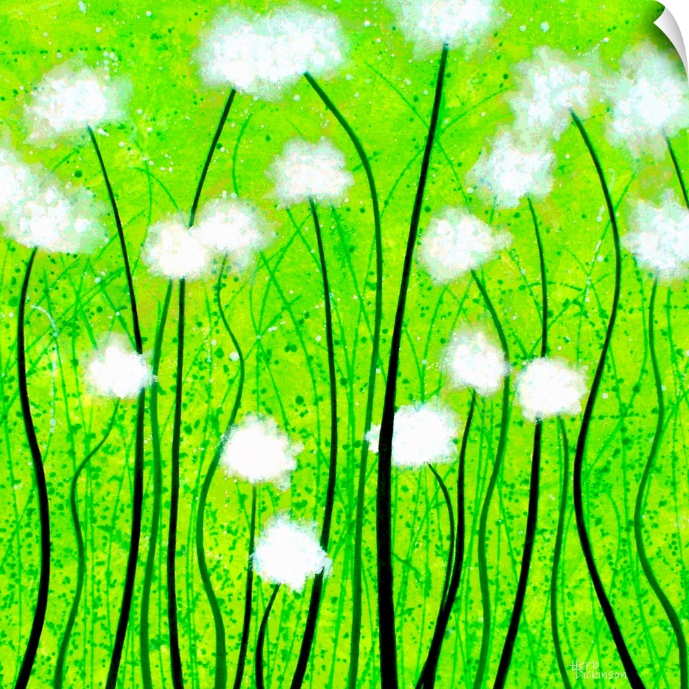 Fuzzy white flowers on a bright green square background.