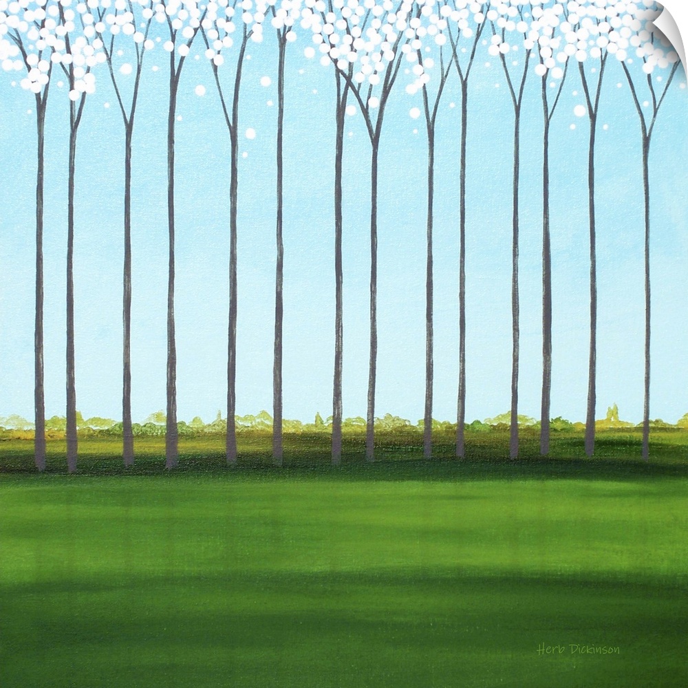 Square minimalist painting of tall, skinny trees with white blossoms.