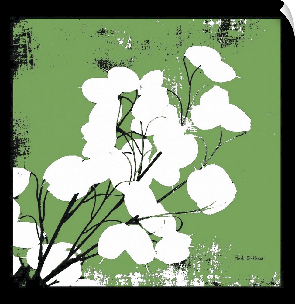 Square silhouetted painting of a money plant in green, black, and white with a black boarder.