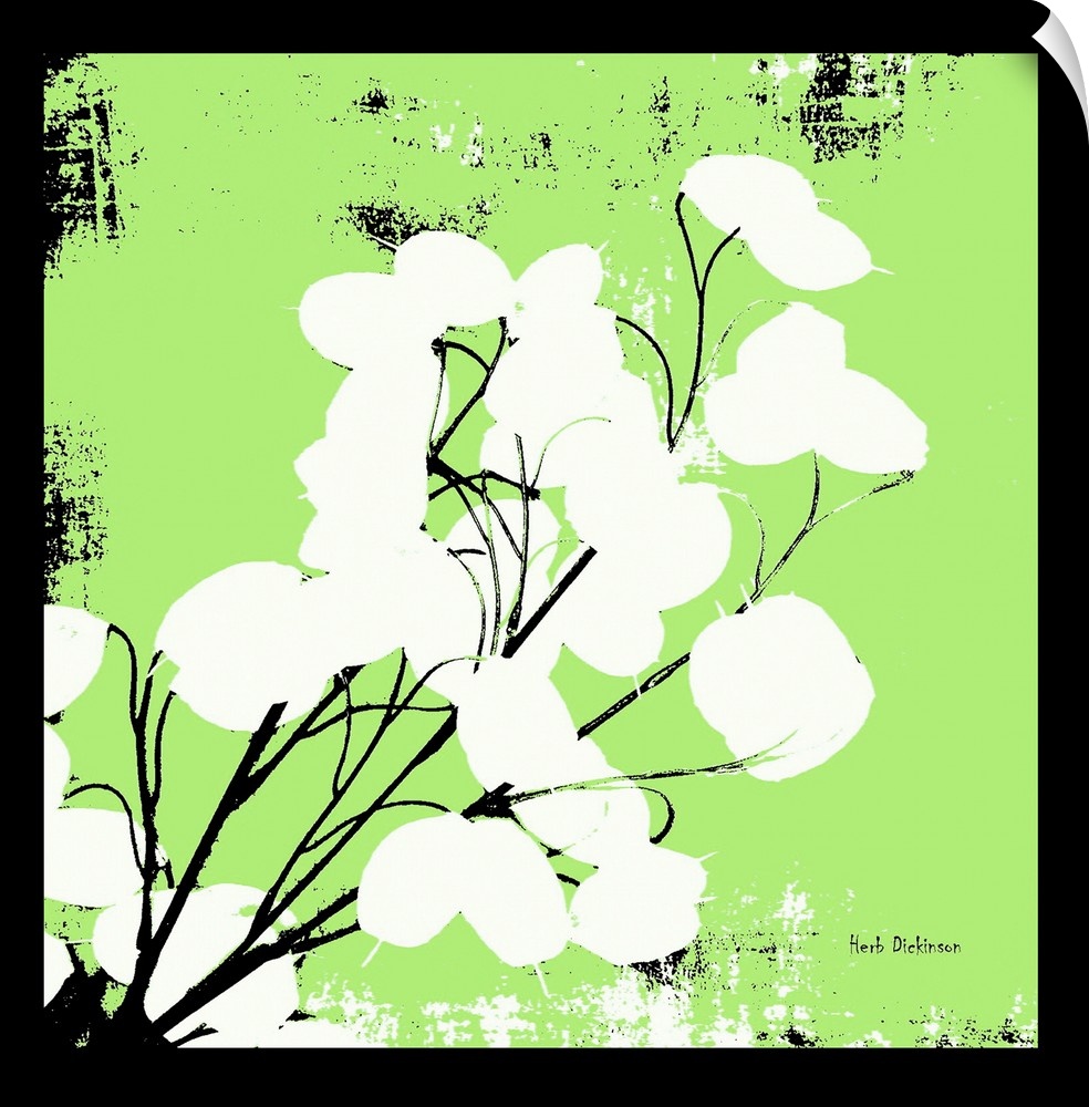 Square silhouetted painting of a money plant in bright green, black, and white with a black boarder.