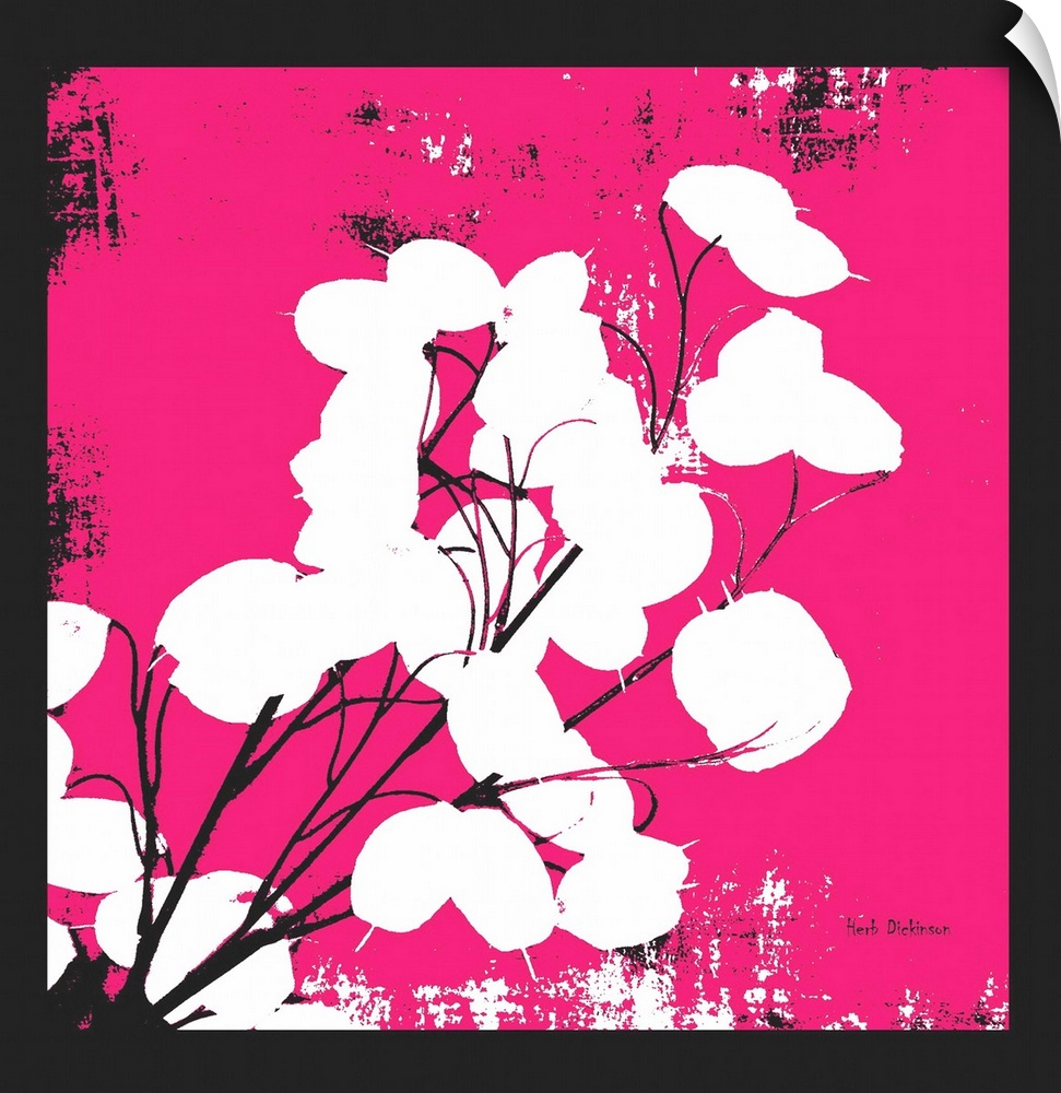 Square silhouetted painting of a money plant in black, white, and pink.