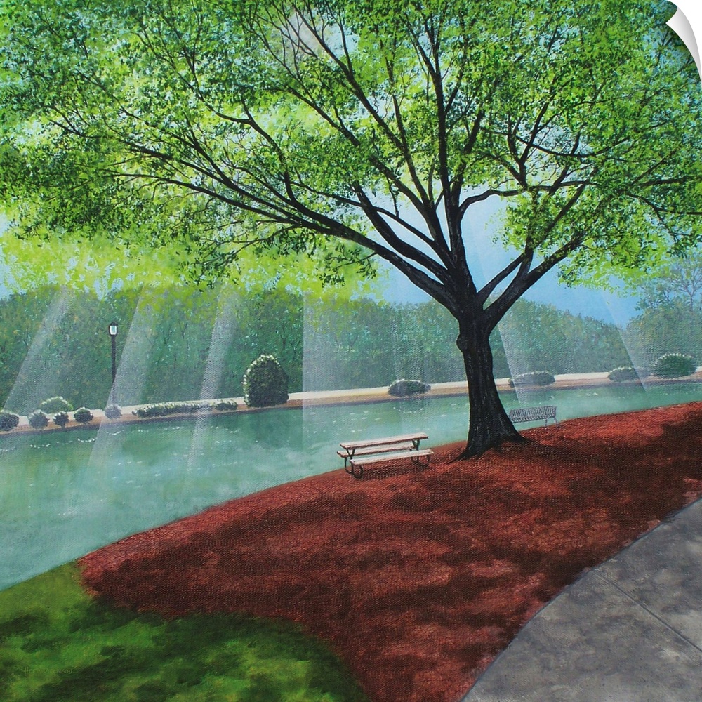 Freedom Park landscape painting on a square canvas with light beaming onto the water behind the trees.