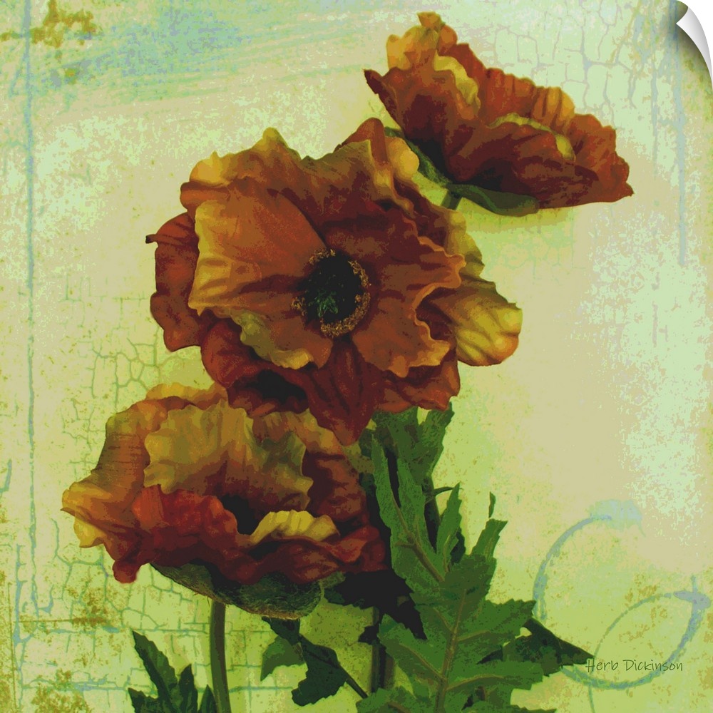 Square painting of poppy flowers with an antique aged look on a green and blue background.