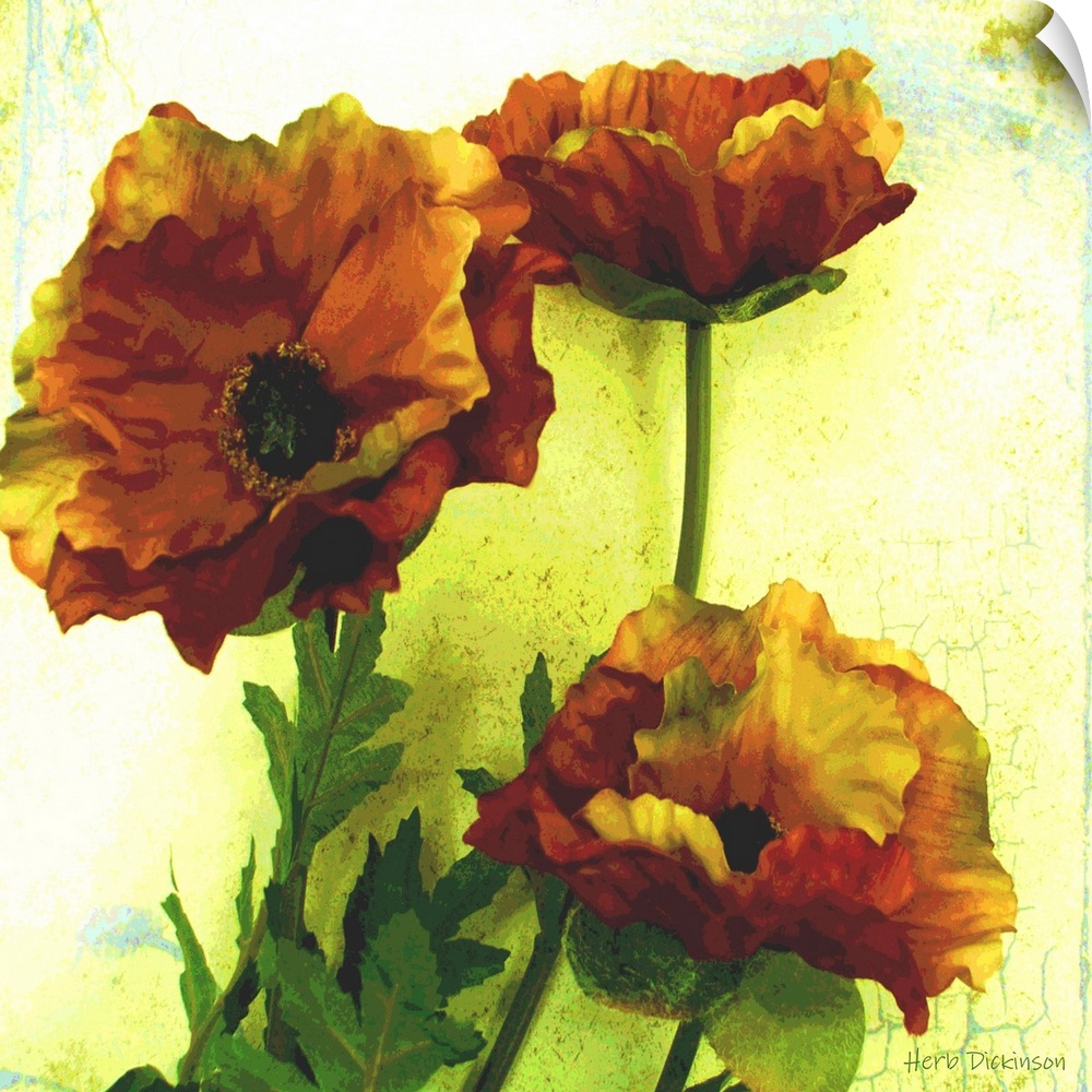 Square painting of poppy flowers with an antique aged look on a green and blue background.