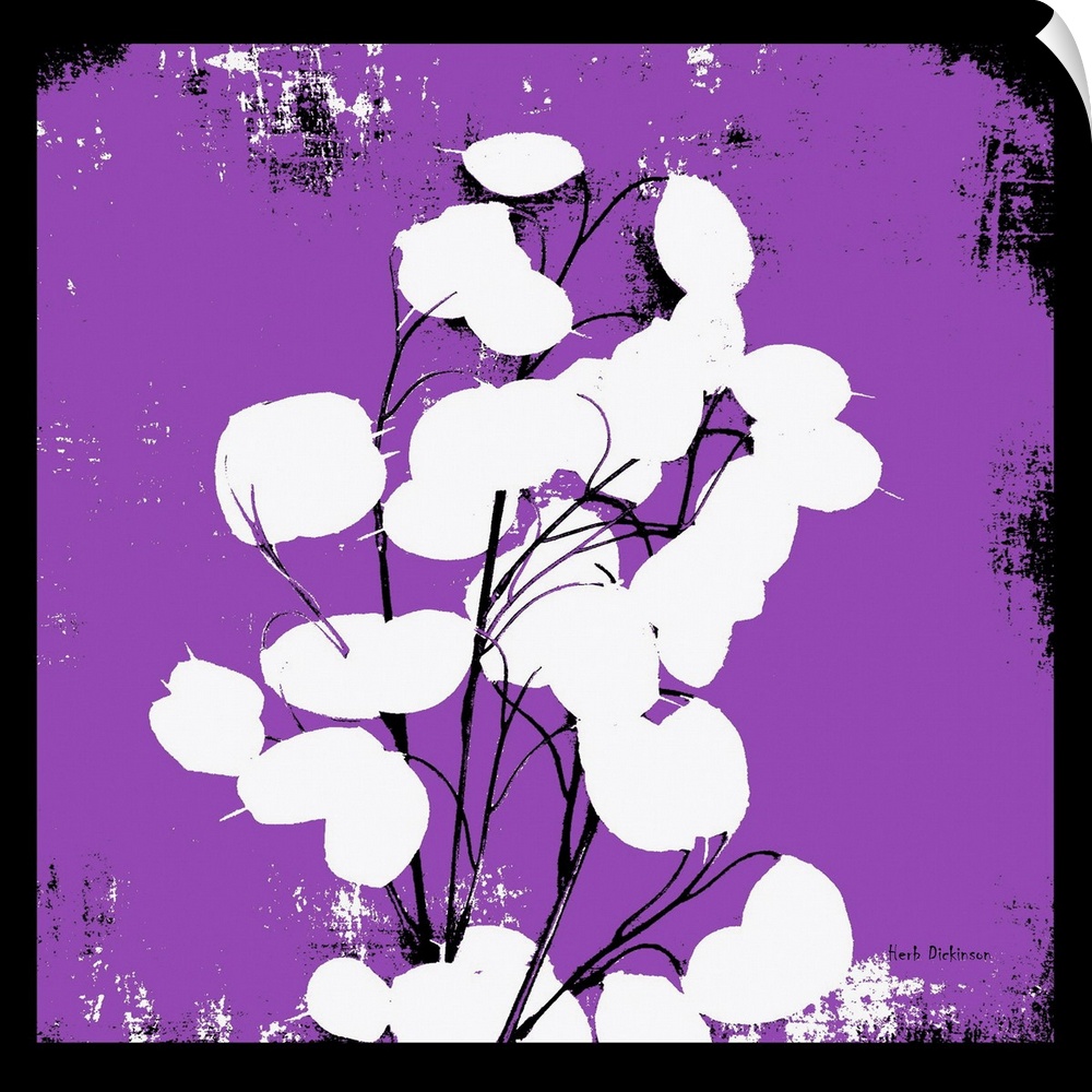 Square silhouetted painting of a money plant in bright purple, black and white with a black boarder.