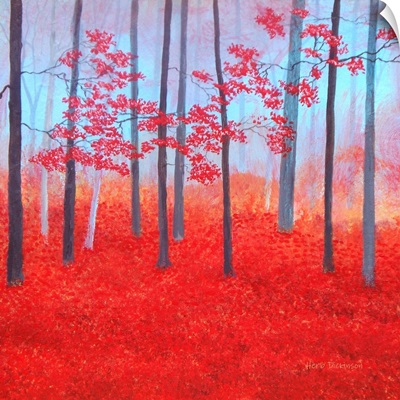 Red Forest Morning