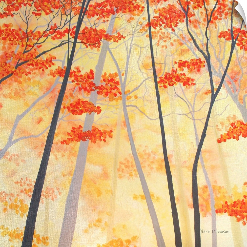 Square painting of Autumn trees with orange and yellow leaves.