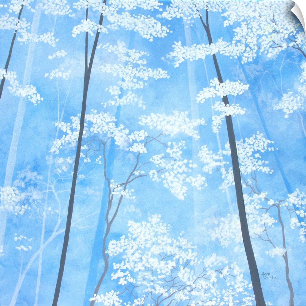 Impressionist painting looking up at white blossomed tree tops with a sky blue background.