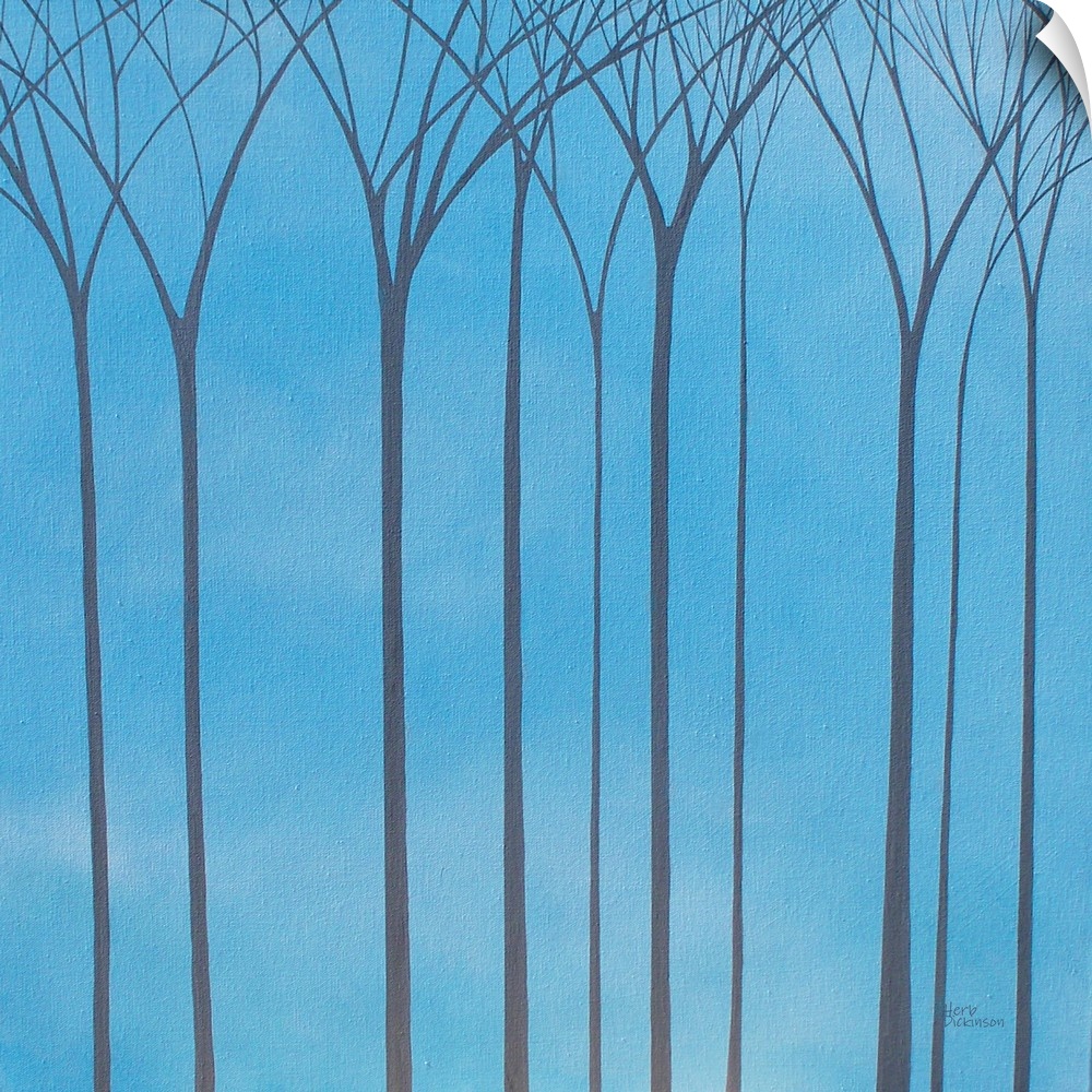 Tall, bare, gray, Winter trees on a blue background.