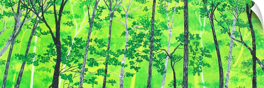 Bright green landscape filled with trees.