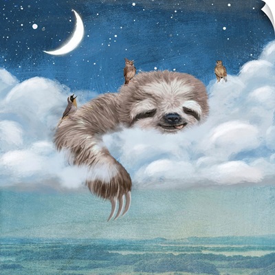 A Sloth's Dream