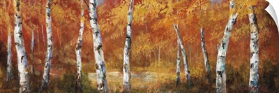 Autumn Birch I