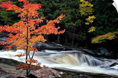 Autumn, Lower Rosseau Falls