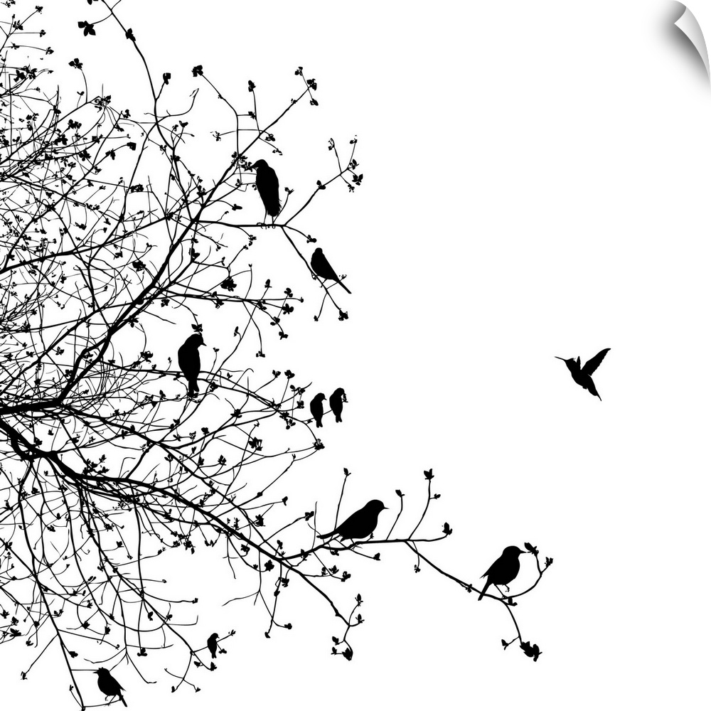 A black and white illustration of a group of birds sitting on a tree branch.