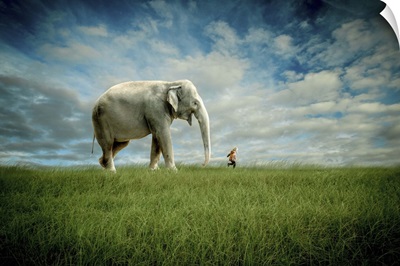 Elephant Follow Me
