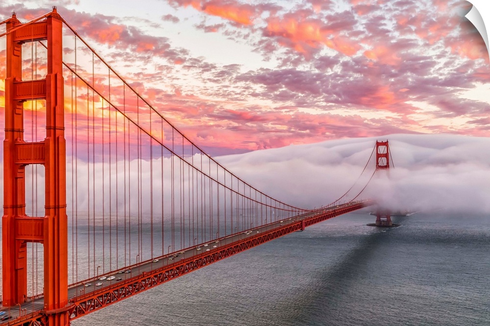 A dynamic photograph of the golden gate bridge disappearing in a thick blanket of clouds.