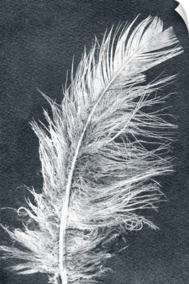 Feather 1 Dark