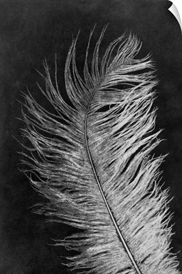 Feather 3 Dark