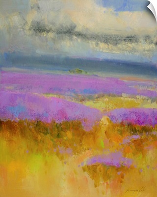 Field of Lavenders 1