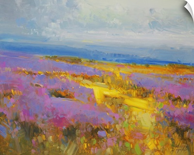 Field of Lavenders 2