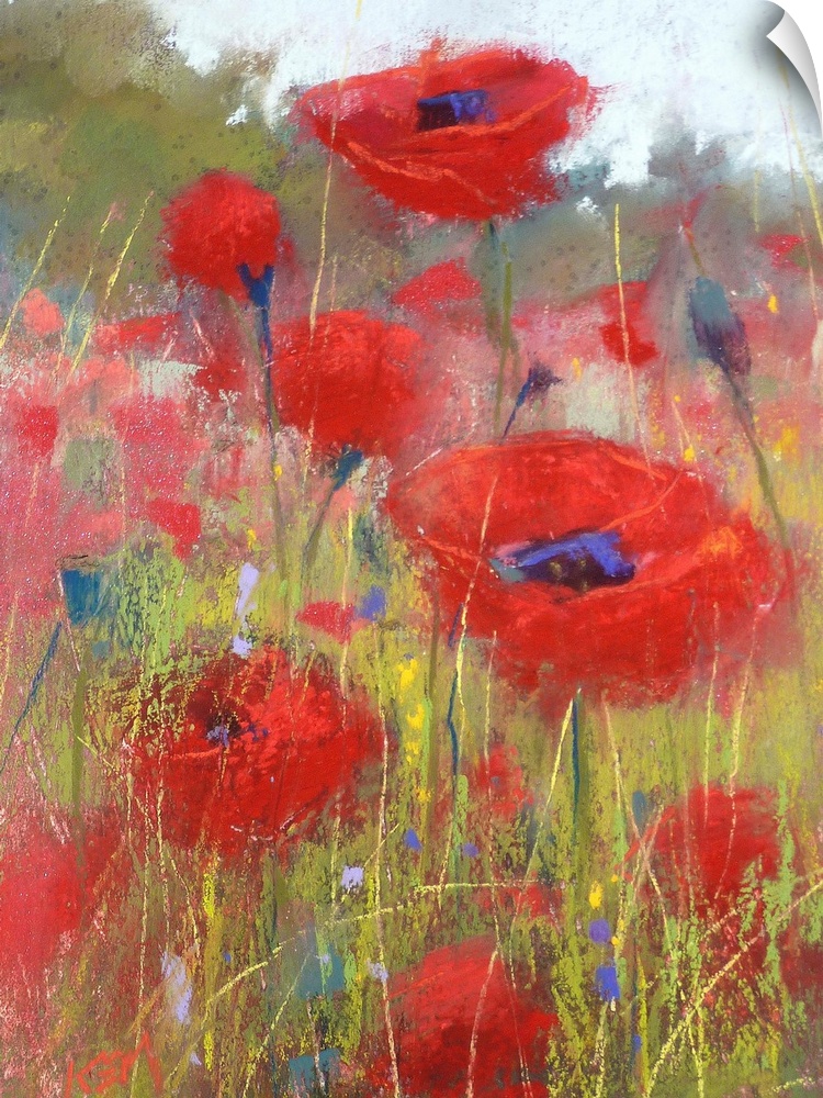 Contemporary watercolor painting of a field of red poppies.