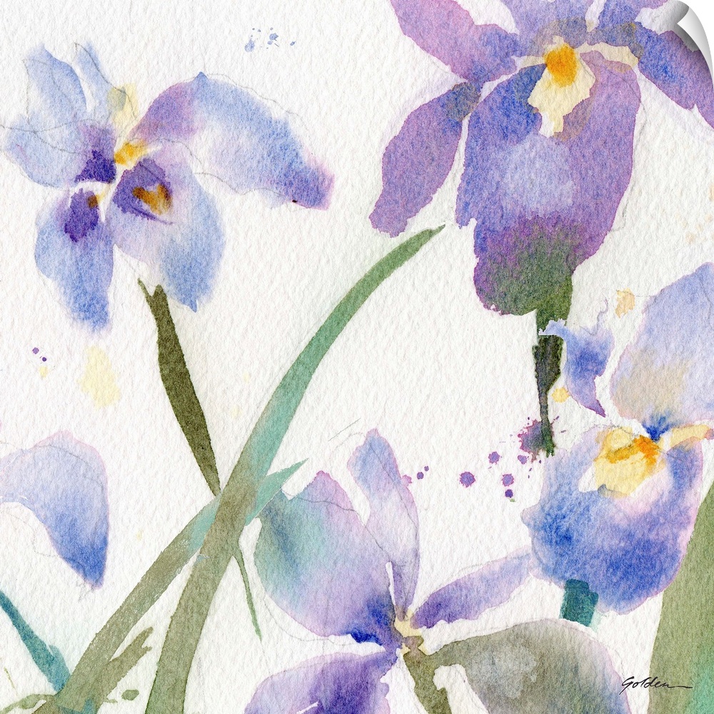 Contemporary watercolor painting of purple irises.
