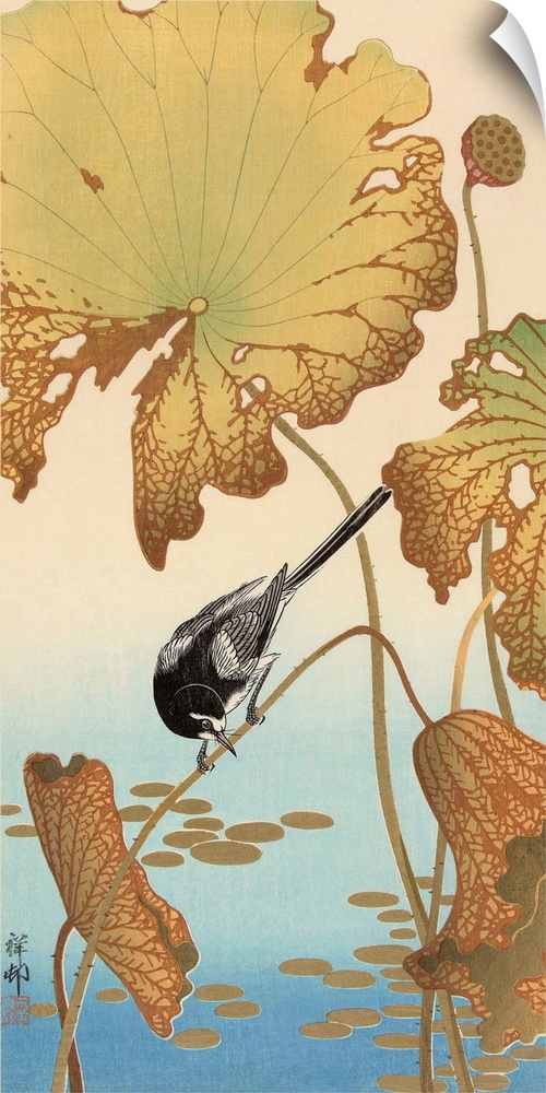 Japanese Wagtail on Lotus Plant, 1925-1936