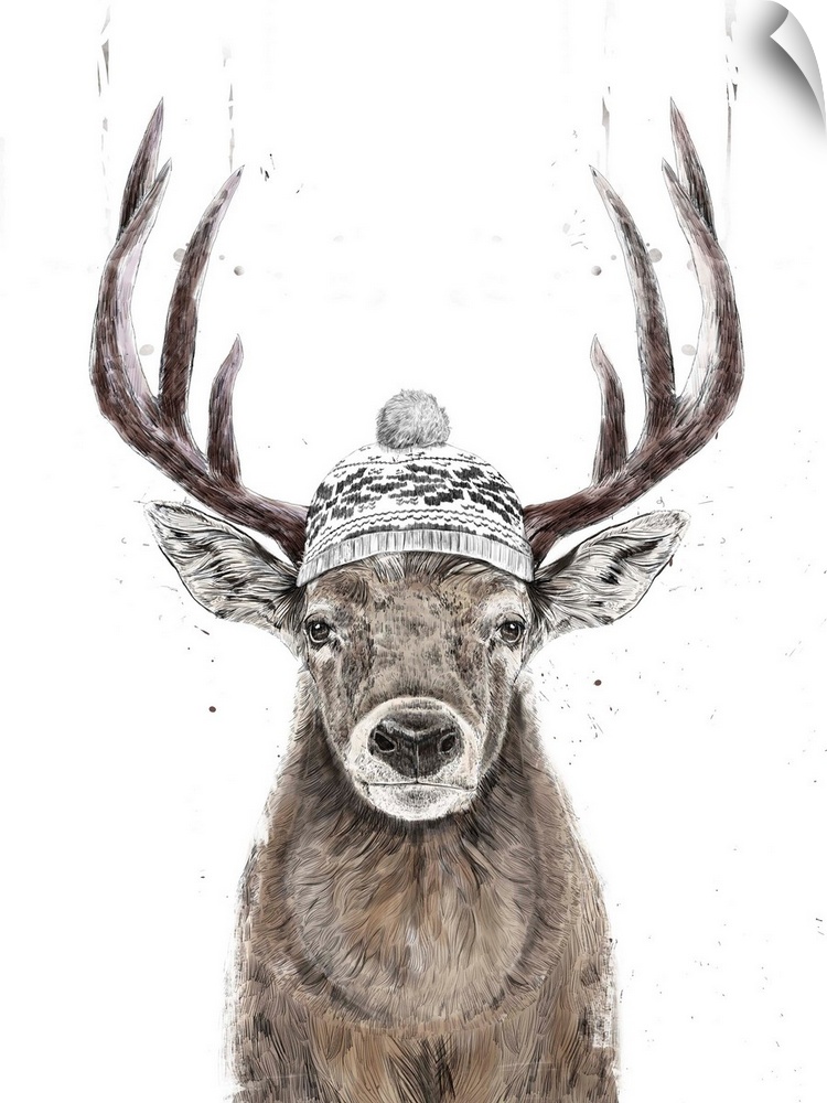 Portrait of a deer ready for winter in his hat.