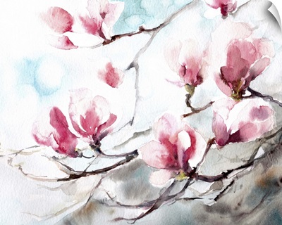Magnolia, Spring