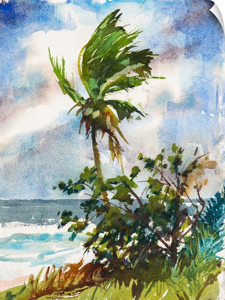 Painting of wind blowing through the leaves of a palm tree.