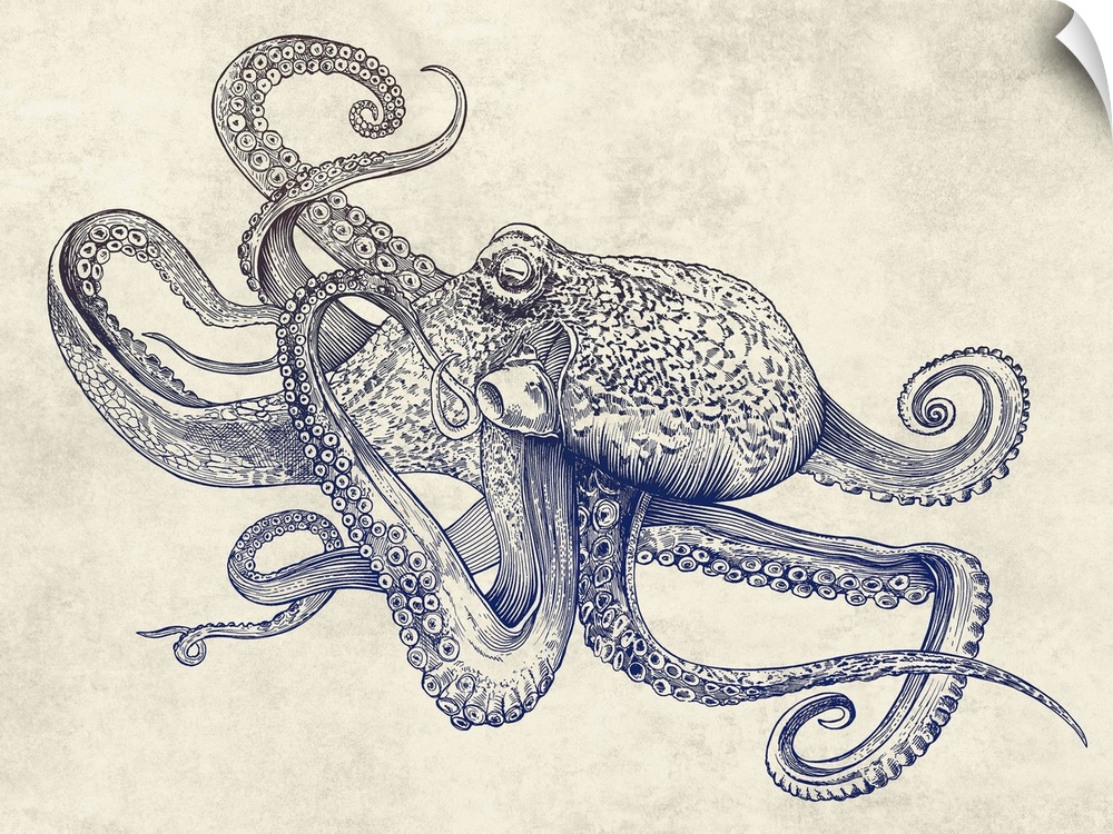 A digital illustration of octopus against a textured background.