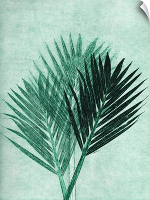 Palm 4 Green