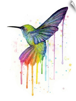 Rainbow Hummingbird