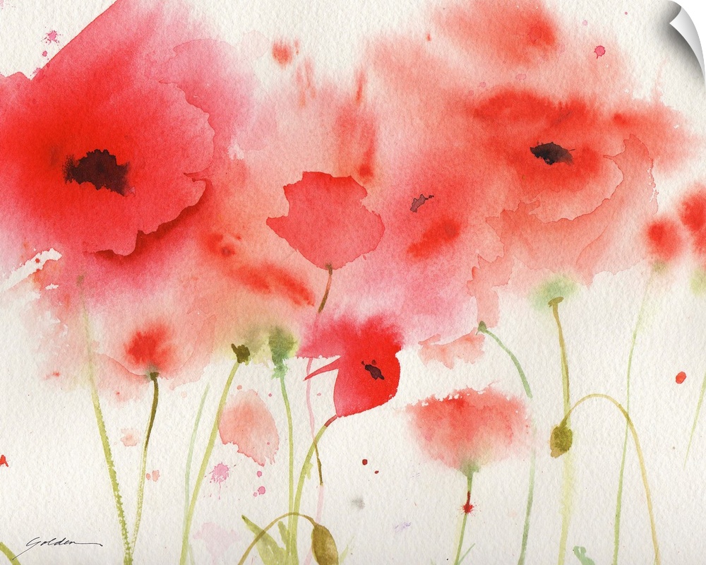 A horizontal watercolor painting of red poppies.
