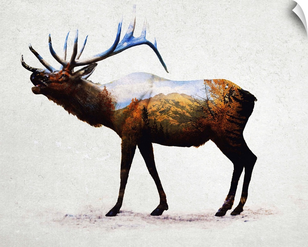 A contemporary piece of artwork of a wilderness scene withing the outline of an elk.