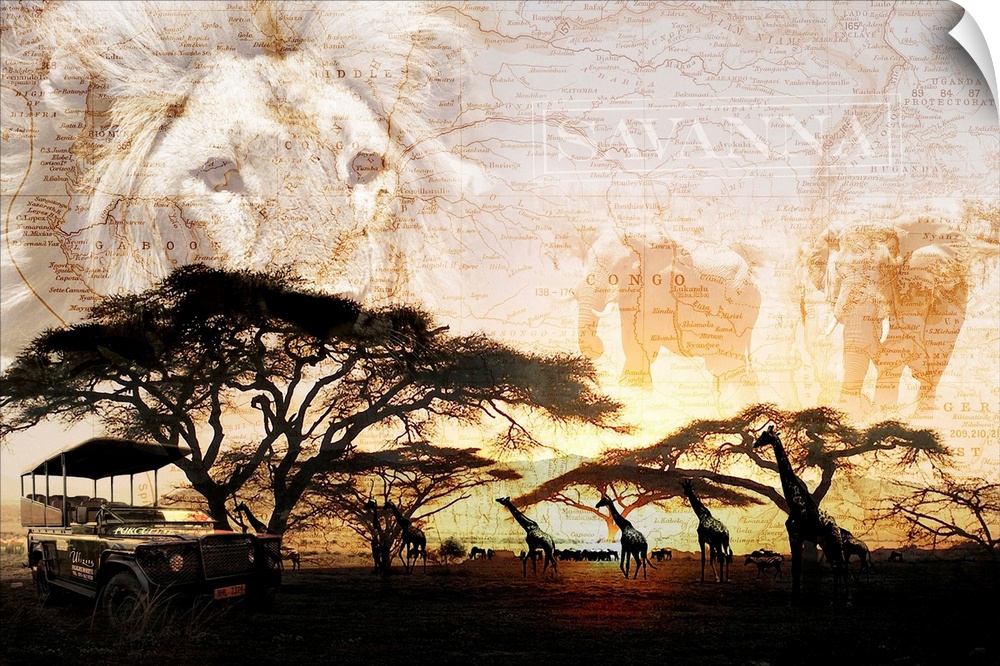 Horizontal collage of the "Savanna"  including images of a lion, elephants and giraffes.