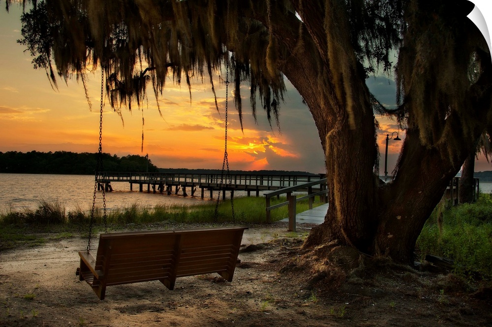 A vibrant photograph of bench swing tethered to a dropping tree, looking out over a lake at sunset.