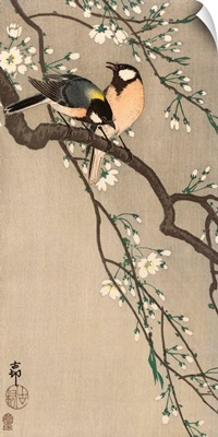 Songbirds on Cherry Branch, 1900-1910