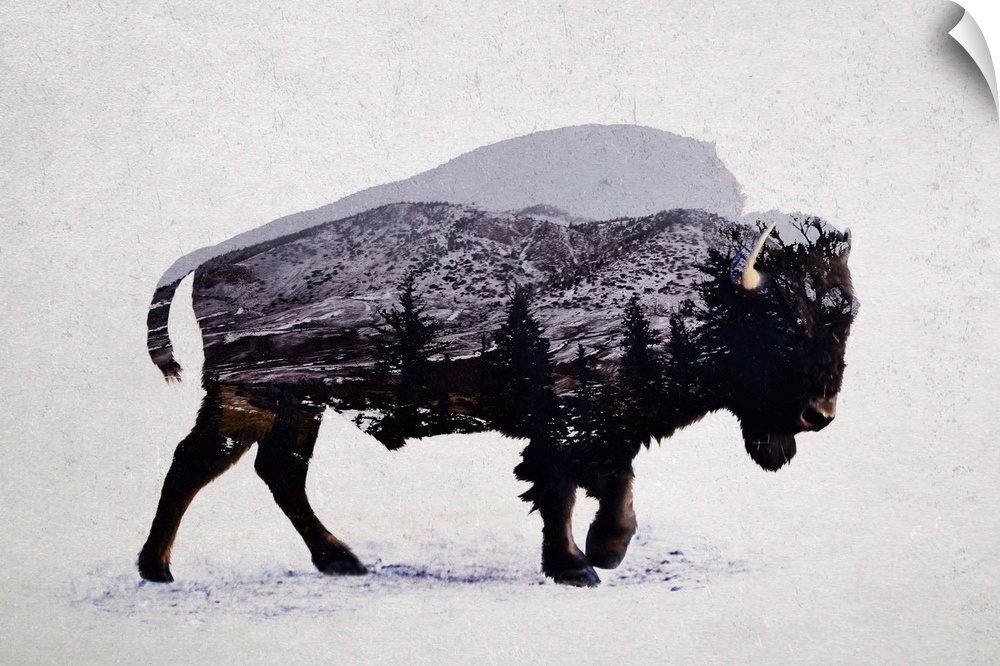 A contemporary piece of artwork of a wilderness scene withing the outline of an American bison.