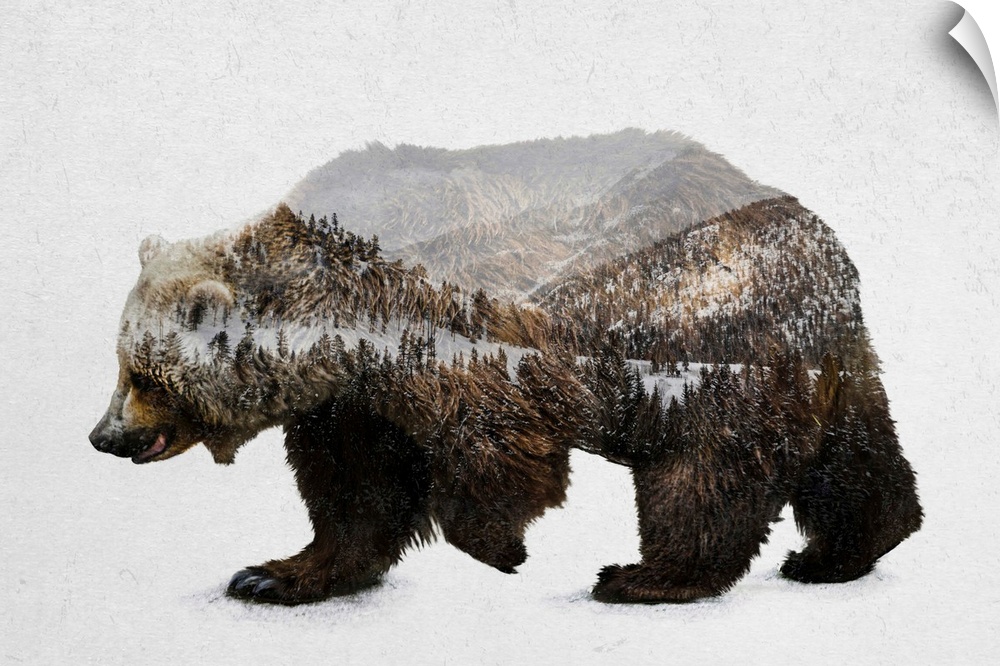 A contemporary piece of artwork of a wilderness scene withing the outline of a brown bear.
