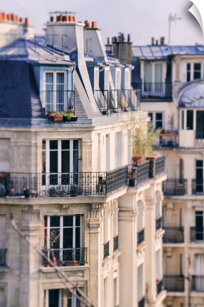 The Paris Apartment View